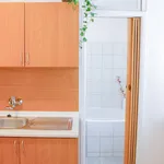 Rent 1 bedroom apartment in Blansko