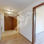 Pronajměte si 1 ložnic/e byt o rozloze 48 m² v Pilsen