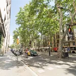 Rent a room of 82 m² in barcelona