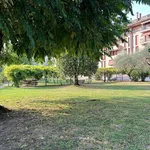 Rent 3 bedroom apartment of 100 m² in Treviso