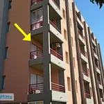 Appartamento arredato con piscina Marotta