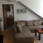 Rent 3 bedroom apartment of 65 m² in Wuppertal