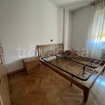 Rent 2 bedroom apartment of 60 m² in Biella