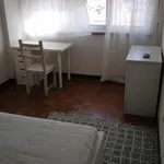 Rent 5 bedroom apartment in Lisbon