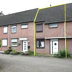 Rent 4 bedroom house of 90 m² in Groot Rennemig