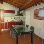 Rent 2 bedroom apartment of 50 m² in Livorno