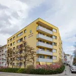 Rent 1 bedroom apartment of 30 m² in Zürich