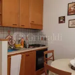 Rent 2 bedroom apartment of 50 m² in Roma