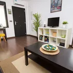 Rent 1 bedroom apartment of 40 m² in Málaga