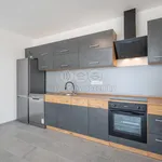 Rent 1 bedroom house of 287 m² in Prague