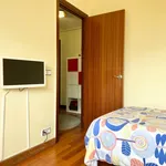 Rent 4 bedroom apartment in Bilbao