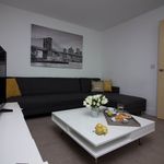 Vulcan Drive, Bracknell - Amsterdam Apartments for Rent