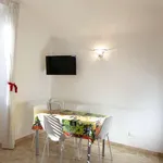 Rent 2 bedroom apartment of 65 m² in rome