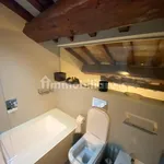 Rent 5 bedroom apartment of 220 m² in Modena