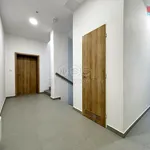 Rent 3 bedroom apartment in Hodonín