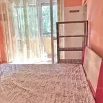 Rent 1 bedroom apartment of 28 m² in Miskolc