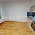 Rent 1 bedroom apartment of 28 m² in Zlín