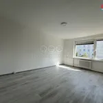 Rent 2 bedroom apartment of 58 m² in Karviná