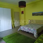 Rent 3 bedroom apartment of 85 m² in Torino