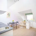 Studio o rozloze 25 m² v prague