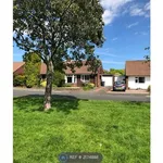 Rent 2 bedroom house in North East England