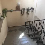 Rent 1 bedroom house of 240 m² in Tata