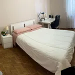 Rent 4 bedroom apartment in Turin