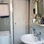 Rent 1 bedroom apartment of 38 m² in Torino