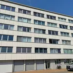 Rent 1 bedroom apartment in Middelkerke