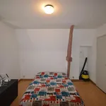 Rent 1 bedroom apartment in Honnelles