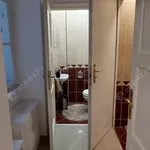 Rent 2 bedroom apartment of 46 m² in budapest