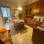 Rent 3 bedroom apartment of 75 m² in Torino