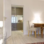 Rent 3 bedroom apartment of 45 m² in Dresden