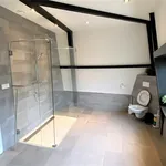 Rent 3 bedroom apartment of 110 m² in Burgwallen-Nieuwe Zijde