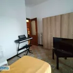 Rent 2 bedroom apartment of 50 m² in Turin