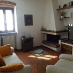 Rent 3 bedroom apartment of 65 m² in Arezzo