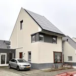 Rent 3 bedroom house of 136 m² in limburg