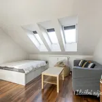 Rent 1 bedroom apartment of 29 m² in Capital City of Prague