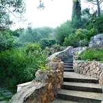 Rent 5 bedroom house of 250 m² in Monte Argentario