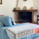 2-room flat Lungarno Trento e Trieste,, Limite, Capraia e Limite