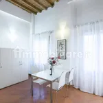 Rent 1 bedroom apartment of 30 m² in Florence