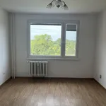 Rent 1 bedroom apartment in Pardubice