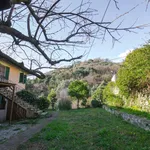 Rent 2 bedroom apartment of 80 m² in Genoa