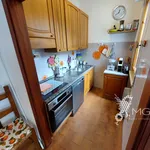 Rent 4 bedroom apartment of 82 m² in Rosignano Marittimo