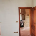 Rent 3 bedroom apartment of 65 m² in Firenze