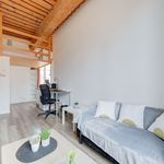 Appartement de 300 m² avec 1 chambre(s) en location à Lyon