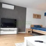 Rent 2 bedroom apartment of 42 m² in Nowy Sącz