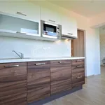 Rent 1 bedroom apartment of 32 m² in Praha