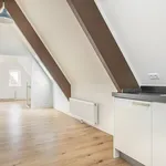 Rent 2 bedroom apartment of 55 m² in Springweg en omgeving Geertebuurt