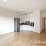 Rent 2 bedroom apartment of 46 m² in Prague